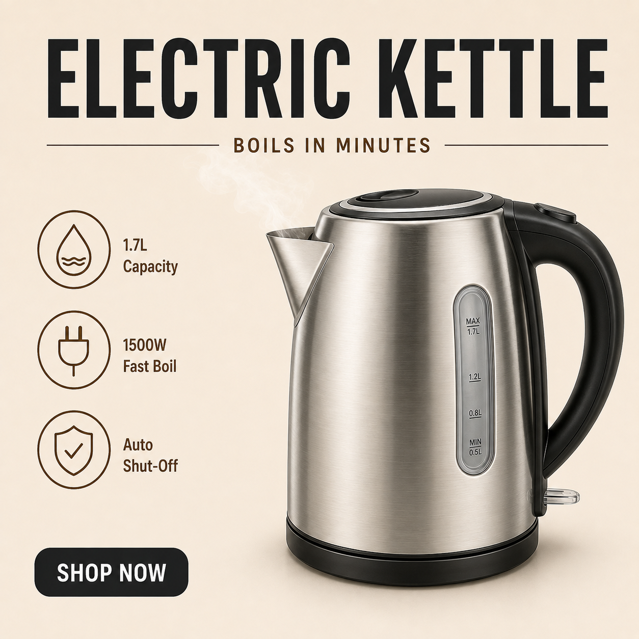 Stashfin stainless steel electric kettle